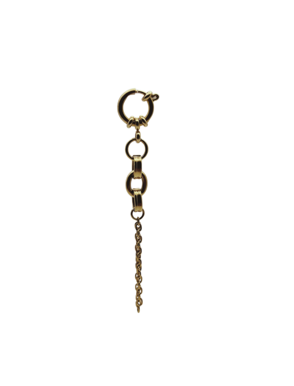 CHARM CASSIUS