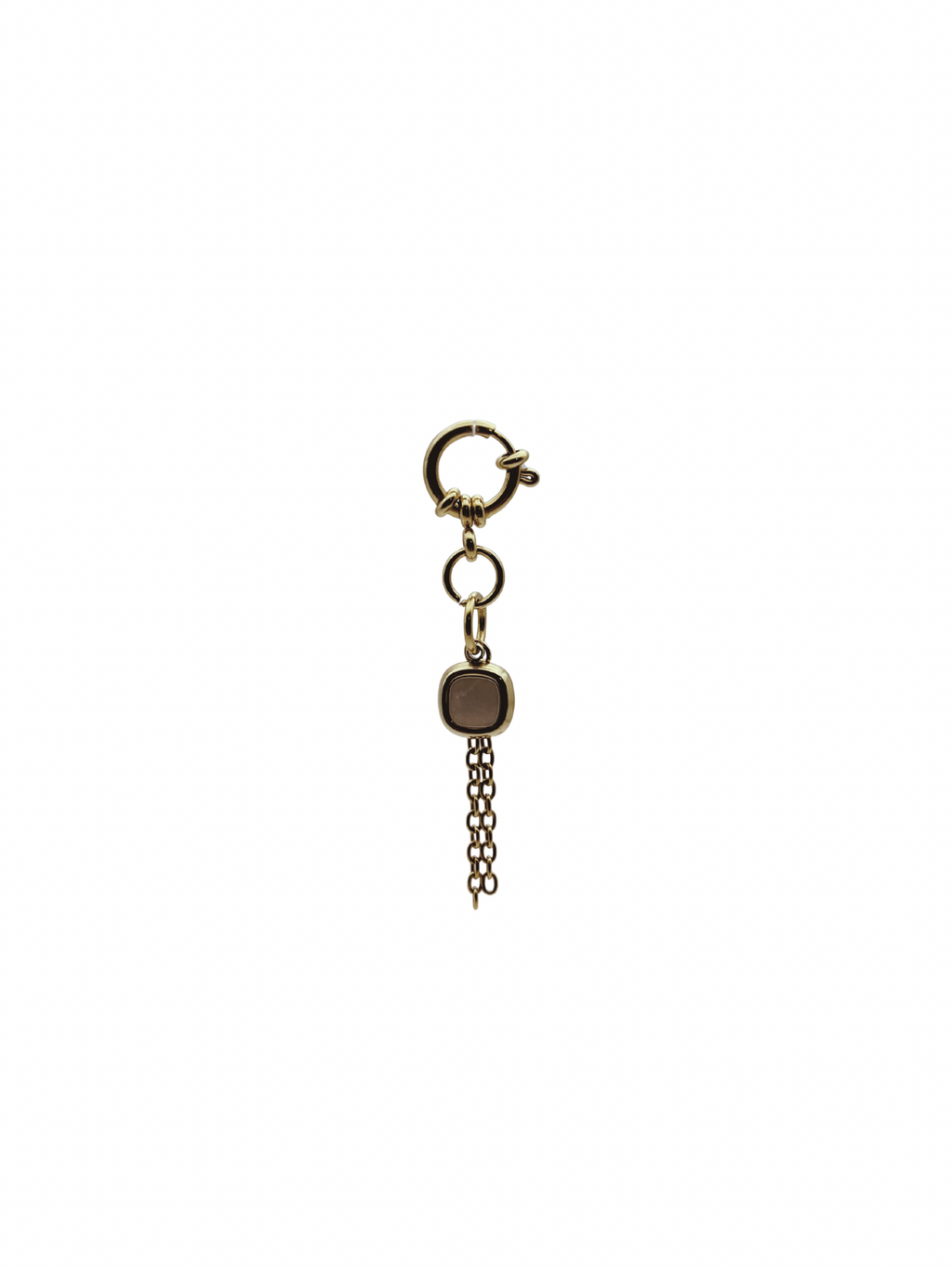 CHARM JANUS