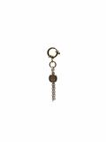 CHARM JANUS