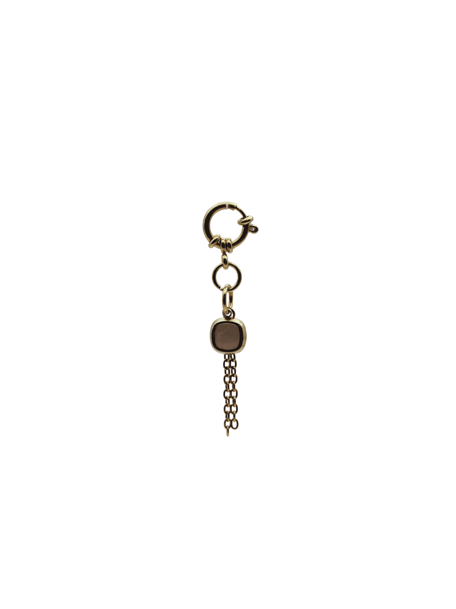 CHARM JANUS